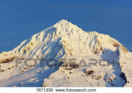 oregon cascades, oregon, united states of america; mount hood viewed from lolo pass View Large Photo Image Stock Photo - oregon cascades, oregon, united states of america; mount hood viewed from lolo pass. Fotosearch