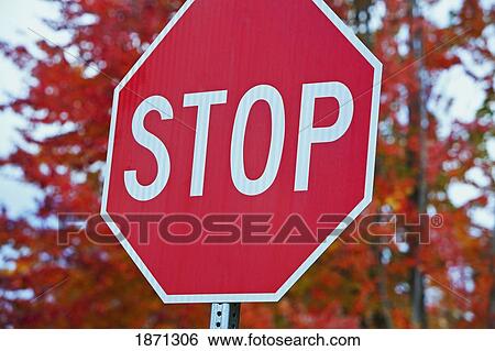 oregon, united states of america; a stop sign with trees in the background in autumn View Large Photo Image Stock Photograph - oregon, united states of america; a stop sign with trees in the background in autumn. Fotosearch