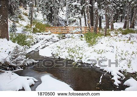 Stock Image - oregon, united states of america; first snow fall along umbrella falls on mount hood in the oregon cascades. Fotosearch
