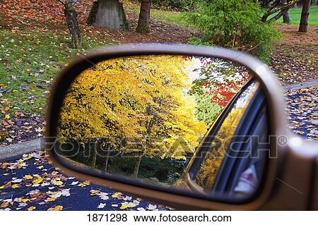 Stock Photo - oregon, united states of america; autumn colors along a country road. Fotosearch
