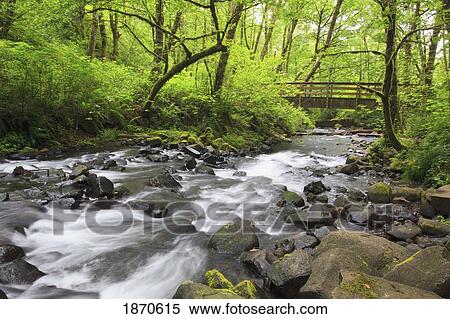 Stock Photography - oregon, united states of america; bridal veil creek in columbia river gorge national scenic area. Fotosearch