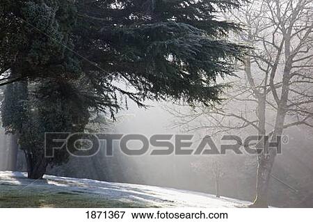 Stock Photo - oregon, united states of america; the sun shining through the fog on mount hood. Fotosearch