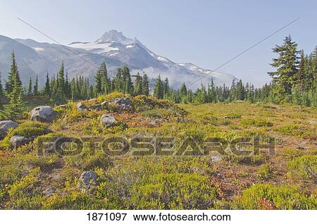 oregon, united states of america; view of mount jefferson from jefferson park View Large Photo Image Stock Photo - oregon, united states of america; view of mount jefferson from jefferson park. Fotosearch