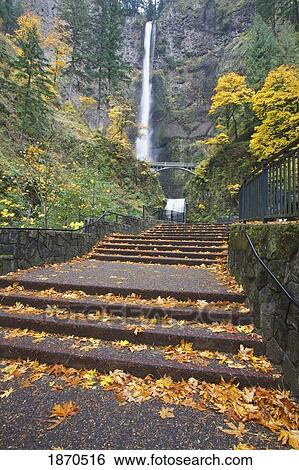 paved steps leading up to a bridge and waterfall in autumn View Large Photo Image Stock Photograph - paved steps leading up to a bridge and waterfall in autumn. Fotosearch