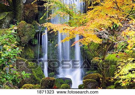 Stock Image - portland, oregon, united states of america; a waterfall in a japanese garden in autumn. Fotosearch