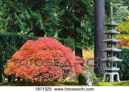portland, oregon, united states of america; portland japanese garden in autumn View Large Photo Image Stock Photography - portland, oregon, united states of america; portland japanese garden in autumn. Fotosearch