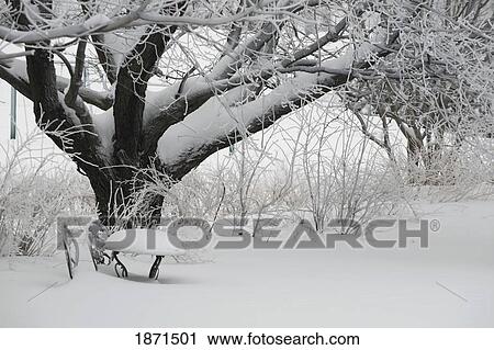 snow covering a small table under a tree View Large Photo Image Stock Image - snow covering a small table under a tree. Fotosearch
