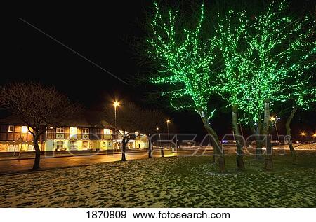 south shields, tyne and wear, england; green lights on the trees and snow on the ground View Large Photo Image Stock Photo - south shields, tyne and wear, england; green lights on the trees and snow on the ground. Fotosearch