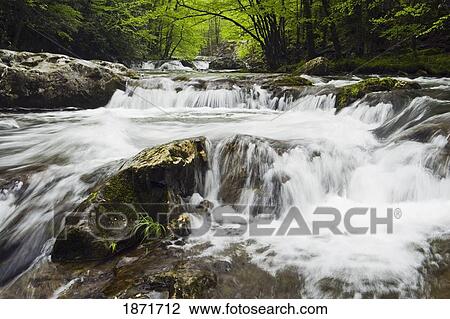 Stock Image - tennessee, united states of america; a curving series of river cascades in the great smokey mountains national park. Fotosearch