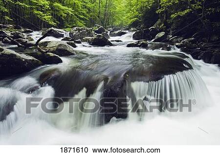 tennessee, united states of america; curved cascade on the middle prong river in the great smokey mountains national park View Large Photo Image Stock Image - tennessee, united states of america; curved cascade on the middle prong river in the great smokey mountains national park. Fotosearch