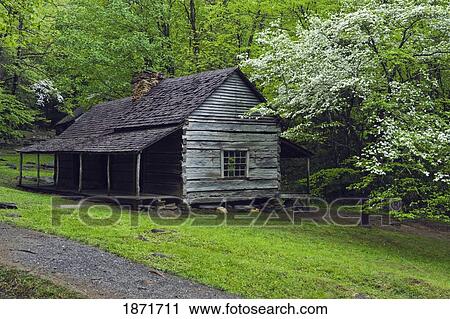 tennessee, united states of america; noah "bud" ogle pioneer cabin and trees in the great smokey mountains national park View Large Photo Image Stock Image - tennessee, united states of america; noah "bud" ogle pioneer cabin and trees in the great smokey mountains national park. Fotosearch