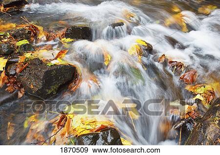 water cascading over the rocks in autumn View Large Photo Image Stock Photo - water cascading over the rocks in autumn. Fotosearch