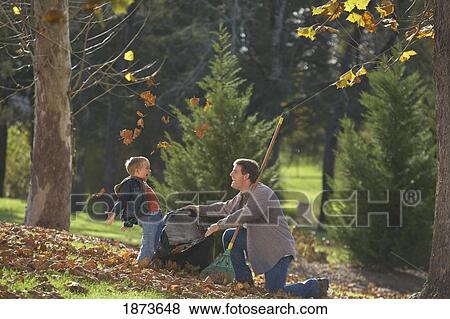 a father and son bagging leaves View Large Photo Image Stock Photo - a father and son bagging leaves. Fotosearch