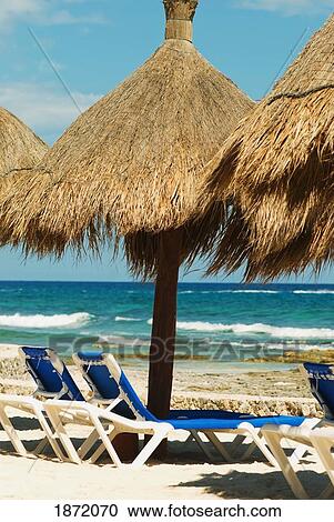 akumal, mexico; lounge chairs and umbrellas on the beach facing the ocean View Large Photo Image Stock Image - akumal, mexico; lounge chairs and umbrellas on the beach facing the ocean. Fotosearch