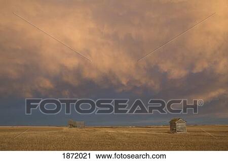 alberta, canada; a wooden shack on a cut wheat field with a dramatic cloudy sky at sunset View Large Photo Image Stock Image - alberta, canada; a wooden shack on a cut wheat field with a dramatic cloudy sky at sunset. Fotosearch