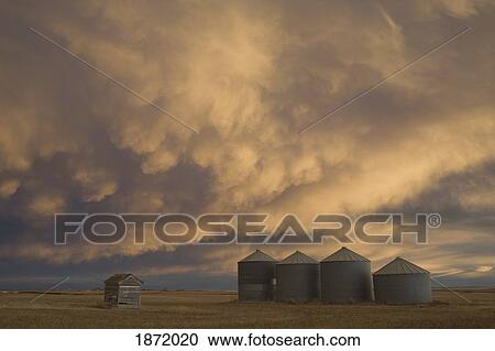 alberta, canada; grain bins with a dramatic cloudy sky at sunset View Large Photo Image Stock Image - alberta, canada; grain bins with a dramatic cloudy sky at sunset. Fotosearch