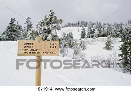columbia river gorge, washington, united states of america; trail sign in winter below summit of dog mountain View Large Photo Image Picture - columbia river gorge, washington, united states of america; trail sign in winter below summit of dog mountain. Fotosearch