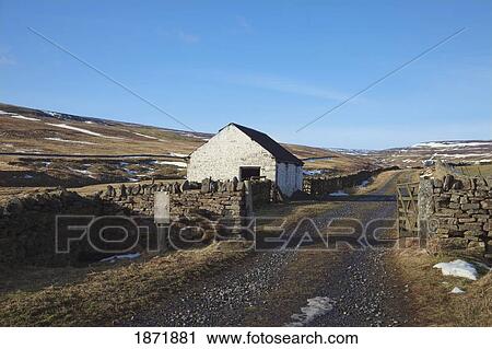 durham dales, county durham, england; a house along rural road View Large Photo Image Stock Image - durham dales, county durham, england; a house along rural road. Fotosearch
