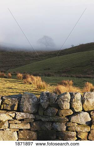 Stock Photo - durham dales, county durham, england; a stone fence and fog over a field. Fotosearch