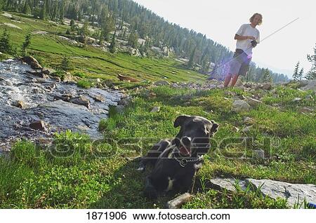 eaglecap wilderness, oregon, united states of america; a man and his dog on the grass by a stream View Large Photo Image Stock Photograph - eaglecap wilderness, oregon, united states of america; a man and his dog on the grass by a stream. Fotosearch