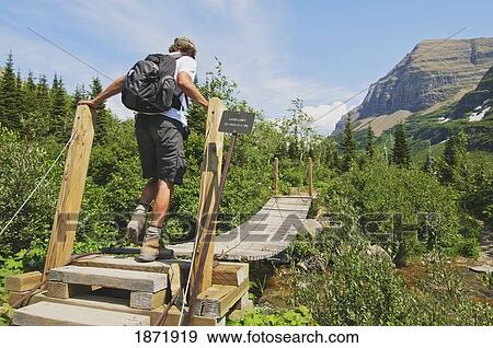 glacier national park, montana, united states of america; hiker on a footbridge View Large Photo Image Stock Photo - glacier national park, montana, united states of america; hiker on a footbridge. Fotosearch