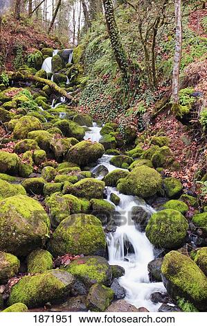 happy valley, oregon, united states of america; green moss on the rocks along a small waterfall View Large Photo Image Stock Image - happy valley, oregon, united states of america; green moss on the rocks along a small waterfall. Fotosearch