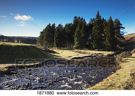 Stock Image - hill end, county durham, england; a shallow, rocky river. Fotosearch