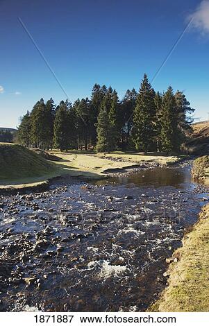 Stock Photo - hill end, county durham, england; a shallow, rocky river. Fotosearch