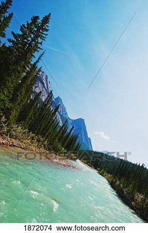 Picture - kootenay plains, alberta canada; siffleur river running through the mountains. Fotosearch