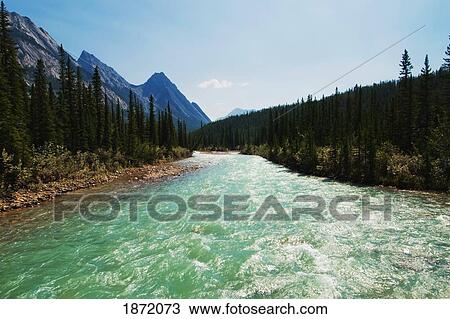 kootenay plains, alberta, canada; siffleur river running through the mountains View Large Photo Image Stock Image - kootenay plains, alberta, canada; siffleur river running through the mountains. Fotosearch