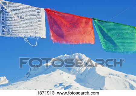 mount hood national forest, oregon, united states of america; fresh snow and tibetan prayer flags on mount hood View Large Photo Image Stock Image - mount hood national forest, oregon, united states of america; fresh snow and tibetan prayer flags on mount hood. Fotosearch