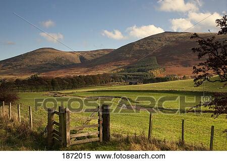 Stock Photography - northumberland, england; a fence along a field and hills. Fotosearch