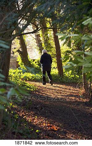 Stock Image - northumberland, england; a person walking down a path through the forest. Fotosearch
