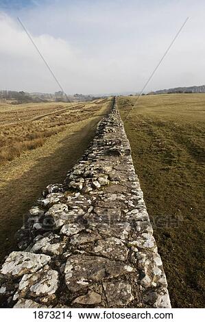 Picture - northumberland, england; hadrian's wall. Fotosearch