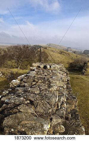 northumberland, england; hadrian's wall View Large Photo Image Stock Image - northumberland, england; hadrian's wall. Fotosearch