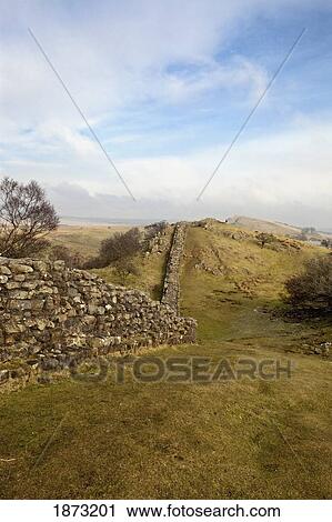 Stock Image - northumberland, england; hadrian's wall. Fotosearch