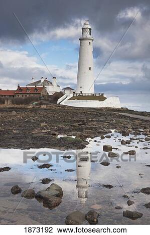 northumberland, england; st. mary's lighthouse View Large Photo Image Stock Image - northumberland, england; st. mary's lighthouse. Fotosearch