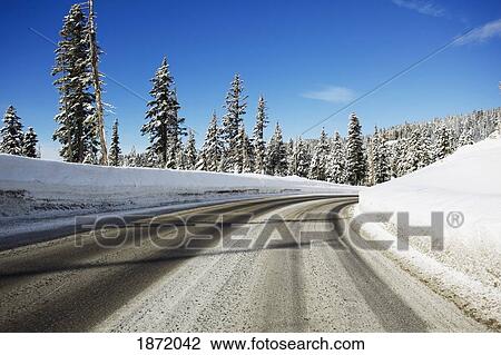 oregon cascades, oregon, united states of america; a road and fresh winter snow on mount hood View Large Photo Image Stock Image - oregon cascades, oregon, united states of america; a road and fresh winter snow on mount hood. Fotosearch