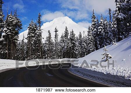 oregon cascades, oregon, united states of america; a road and fresh winter snow on mount hood View Large Photo Image Stock Photo - oregon cascades, oregon, united states of america; a road and fresh winter snow on mount hood. Fotosearch