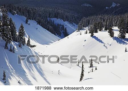 Stock Photo - oregon cascades, oregon, united states of america; fresh winter snow on mount hood. Fotosearch
