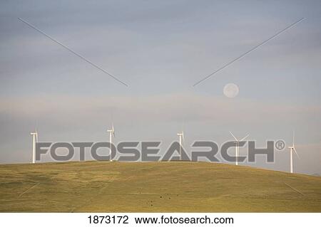 pincher creek, alberta, canada; wind turbines on a hillside with the moon in the sky View Large Photo Image Stock Image - pincher creek, alberta, canada; wind turbines on a hillside with the moon in the sky. Fotosearch