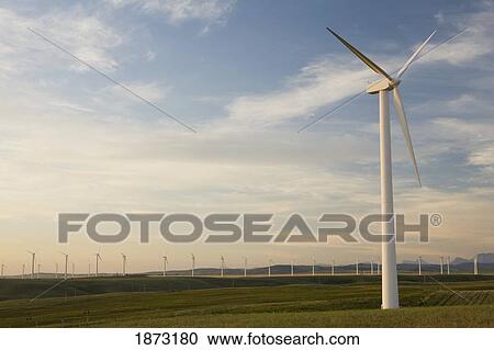 pincher creek, alberta, canada; wind mill farm View Large Photo Image Stock Image - pincher creek, alberta, canada; wind mill farm. Fotosearch