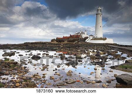 st. mary's island, northumberland, england; st. mary's lighthouse View Large Photo Image Stock Image - st. mary's island, northumberland, england; st. mary's lighthouse. Fotosearch