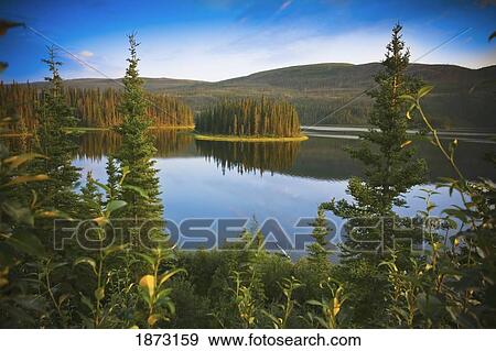 whitehorse, yukon territory, canada; fox lake View Large Photo Image Stock Photo - whitehorse, yukon territory, canada; fox lake. Fotosearch