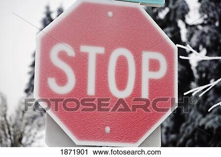 willamette valley, oregon, united states of america; a stop sign covered in ice from a heavy ice storm View Large Photo Image Stock Image - willamette valley, oregon, united states of america; a stop sign covered in ice from a heavy ice storm. Fotosearch