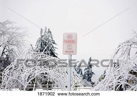 willamette valley, oregon, united states of america; a no parking sign covered in ice from a heavy ice storm View Large Photo Image Stock Image - willamette valley, oregon, united states of america; a no parking sign covered in ice from a heavy ice storm. Fotosearch