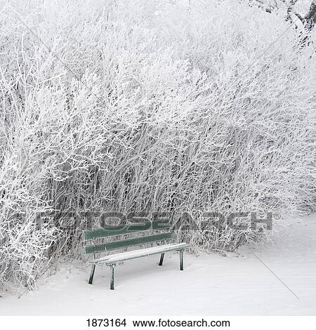 Picture - winnipeg, manitoba, canada; frost and snow covering a park bench, ground and trees. Fotosearch