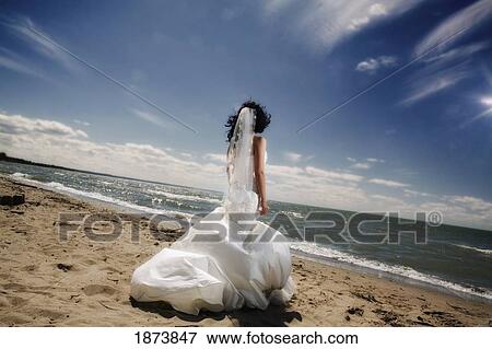 a bride standing on the beach looking at the ocean View Large Photo Image Stock Photo - a bride standing on the beach looking at the ocean. Fotosearch
