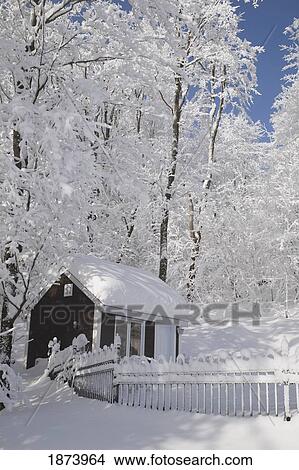 Picture - a house, fence and trees covered in snow. Fotosearch
