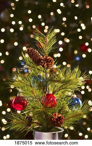 Stock Photography - a small tree in a pot decorated for christmas. Fotosearch
